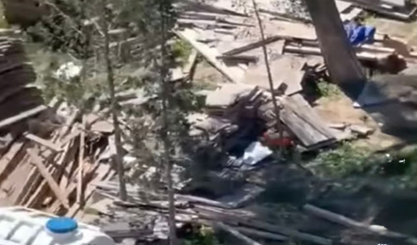 Sumqayıtda ağac kəsilməsi faktı üzə araşdırma aparılır 
Sumqayıtda ağac kəsilməsi faktı üzə araşdırma aparılır