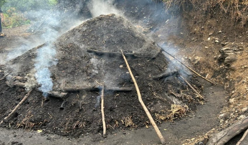 Bu il qanunsuz kömür istehsalı ilə bağlı 218 fakt qeydə alınıb