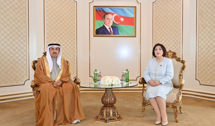 Milli Məclis və BƏƏ Federal Milli Şurasının sədrlərinin görüşü olub