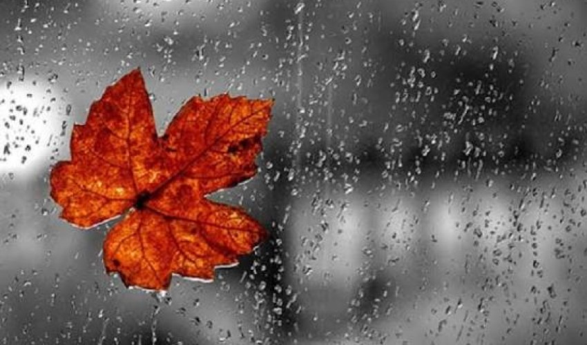 Sabahın hava proqnozu açıqlanıb Sabahın hava proqnozu açıqlanıb