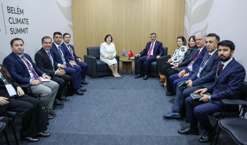 Sahibə Qafarova Türkiyənin Vitse-prezidenti Cevdet Yılmazla görüşüb