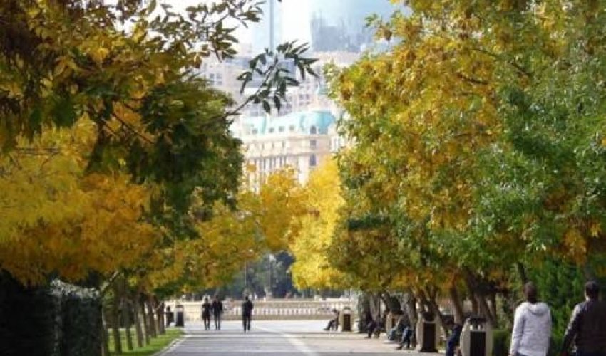 Sabahın hava proqnozu açıqlanıb