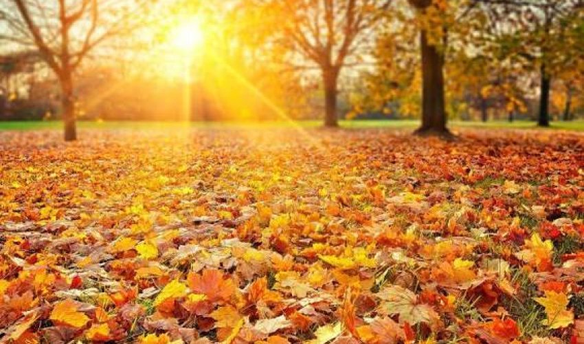 Sabah 24 dərəcə isti olacaq - PROQNOZ