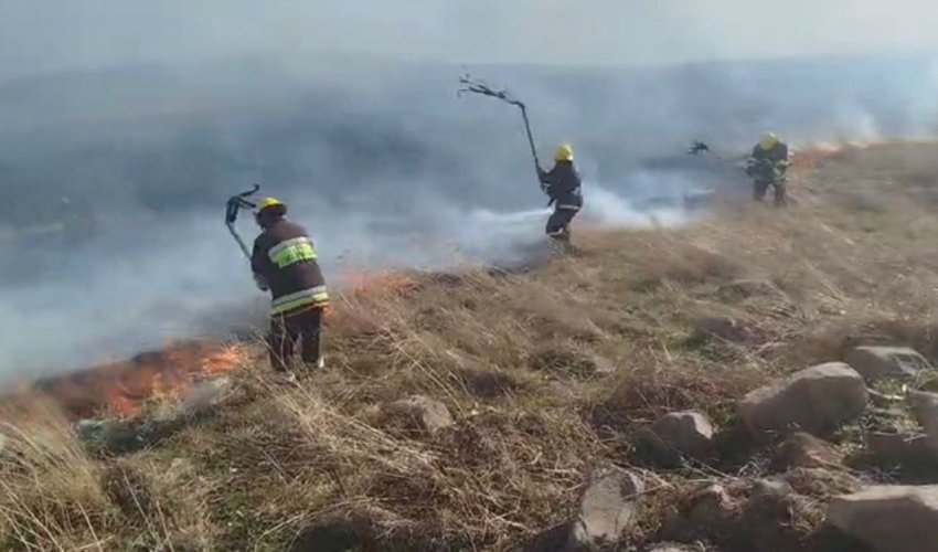 Gədəbəydə dağlıq ərazidə yanğın başlayıb - Video