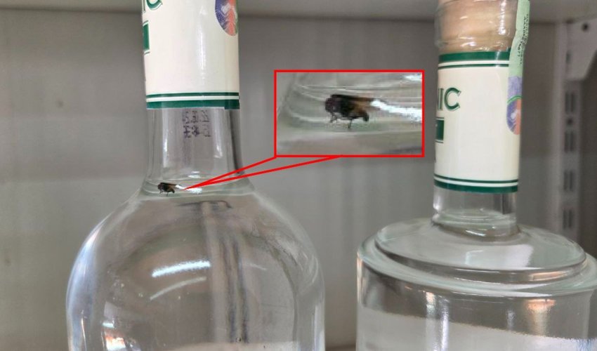 Cəbrayılda içində milçək olan saxta araq aşkar edilib