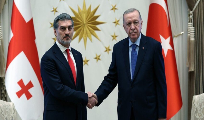 Türkiyə və Gürcüstan prezidentləri təyyarə qəzası ilə bağlı son durumu müzakirə ediblər