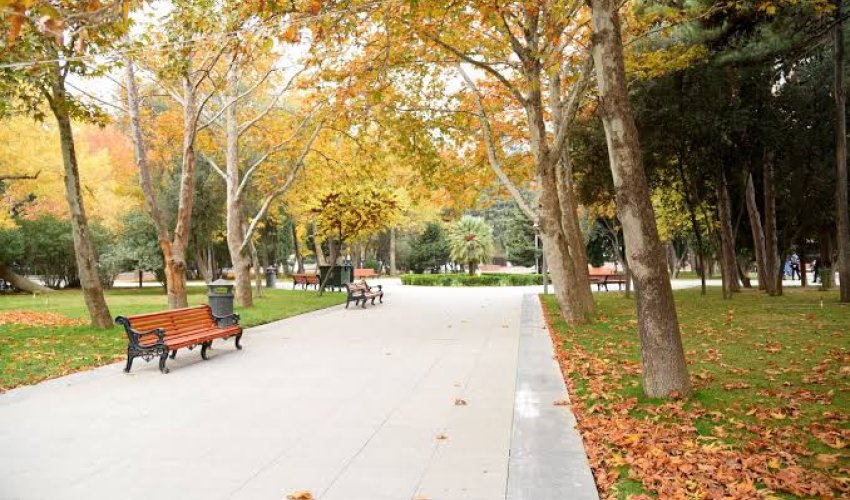 Sabahın hava proqnozu