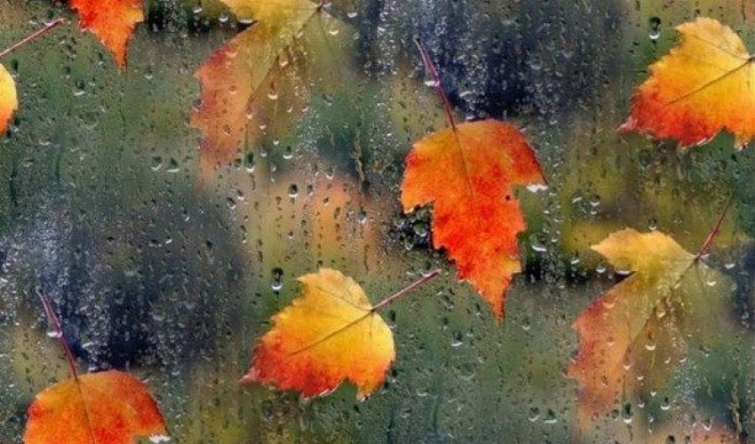 Leysan olacaq, şimşək çaxacaq - XƏBƏRDARLIQ