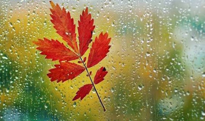 В регионах Азербайджана выпали осадки - фактическая погода