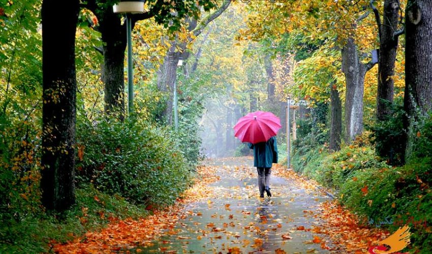 В Баку и на Абшероне ожидается пасмурная погода, в ряде районов - ливни