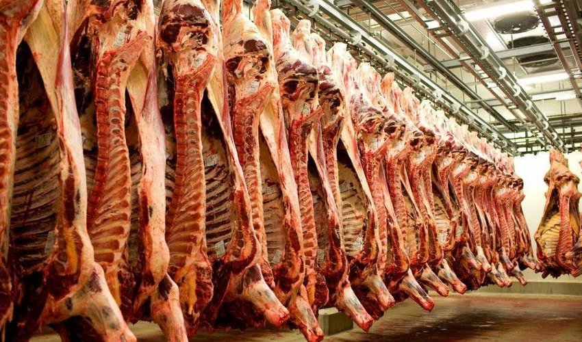 Azərbaycanda ət istehsalı 20% azalıb