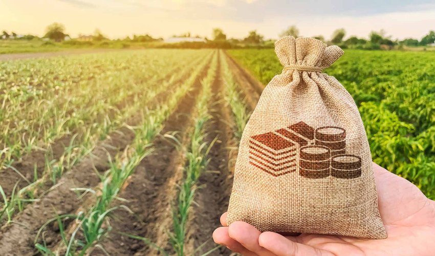 Kənd təsərrüfatı və ərzaq təhlükəsizliyində 1,2 milyard manat ayrılacaq