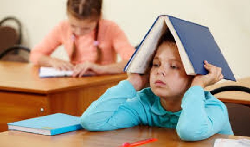 Dağlıq rayonlarda şagirdlərin sayı sürətlə azalır