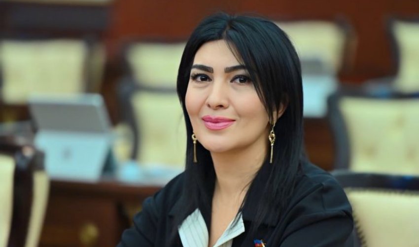 Cəfər Cabbarlı adına mədəniyyət evi yararsız hala düşüb - Elnarə Akimova