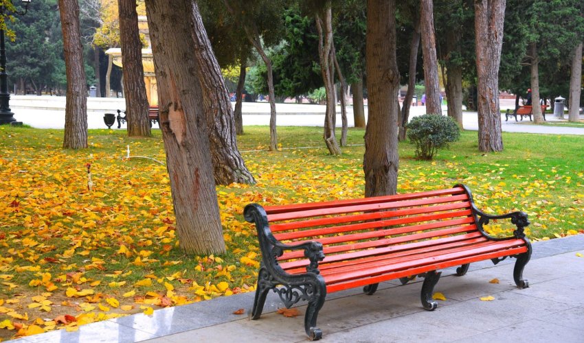 Sabah hava necə olacaq?