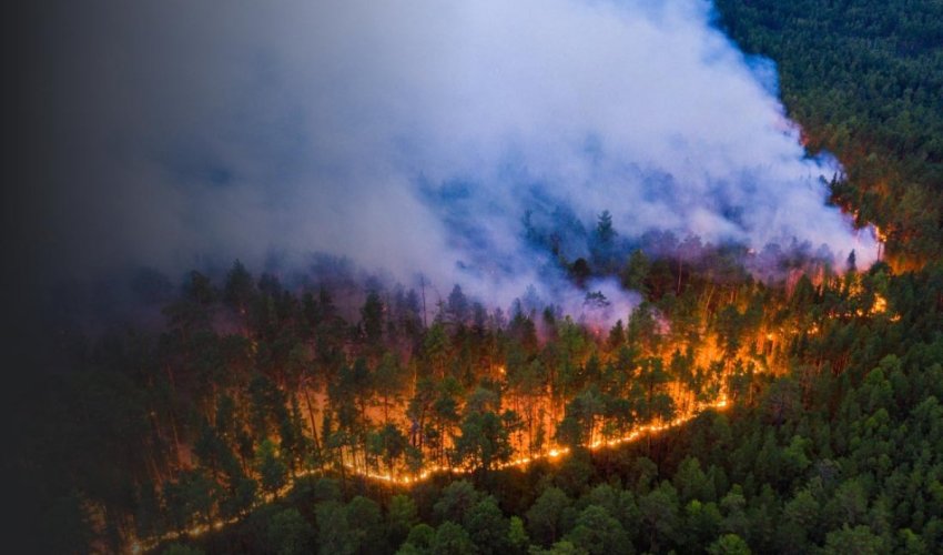 Анкара поможет Ирану справиться с лесным пожаром