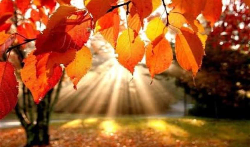 Sabahın hava proqnozu açıqlanıb