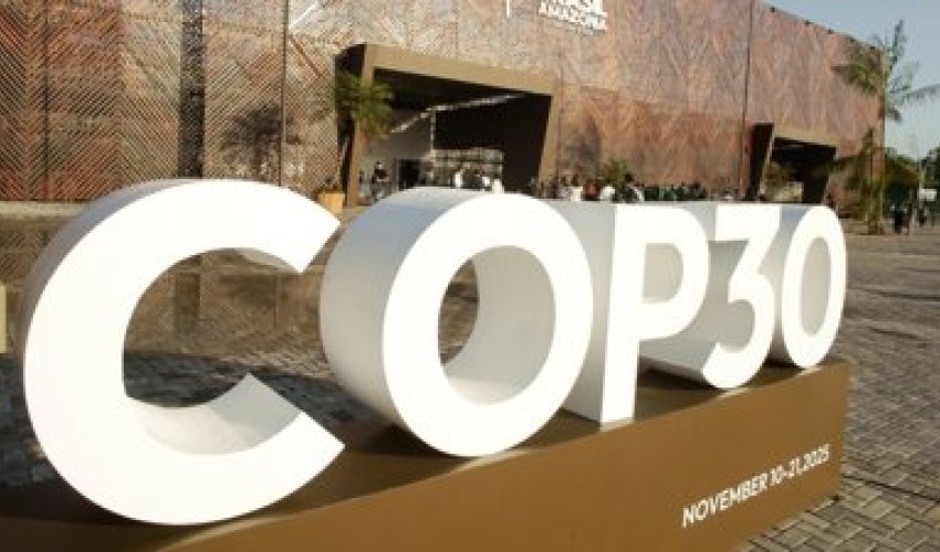 На COP30 не смогли договориться