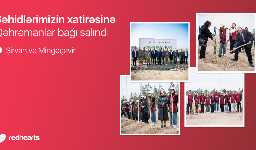 “Qəhrəmanlar bağı” layihəsi: Şəhidlərin xatirəsinə 543 ağac əkildi
