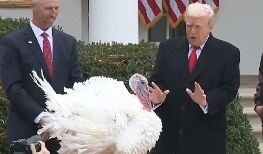 Tramp iki hinduşqanı hotelə gətizdirərək onları əfv edib