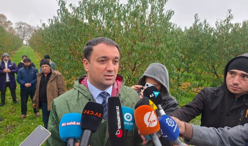 
Azərbaycanda yaxın zamanda quraqlıq sığortası tətbiq olunacaq
