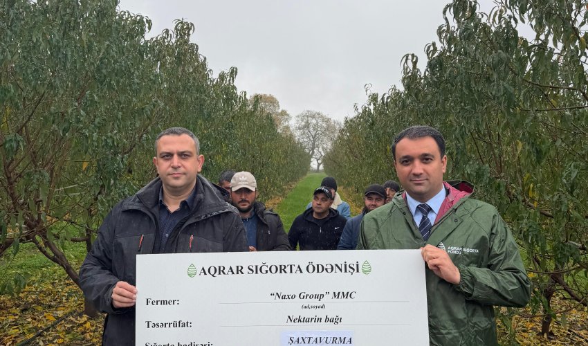 Bu il ölkədə meyvə bağı üzrə 700 min manatdan çox sığorta ödənişi verilib