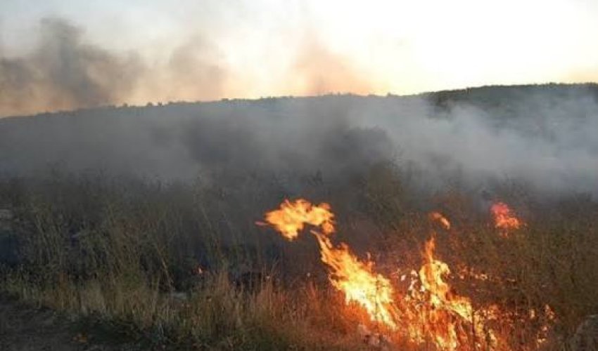 Kəlbəcərdə açıq ərazidə yanğın baş verib