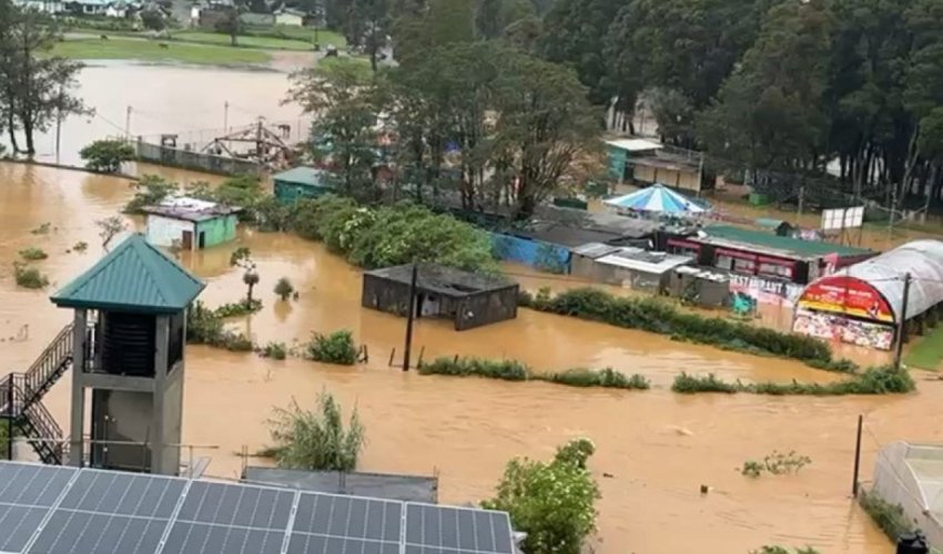 Мощный циклон на Шри-Ланке: число жертв растет