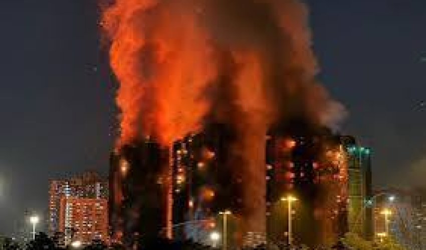 SCMP: Более 90 домашних питомцев спасли в Гонконге на месте мощного пожара