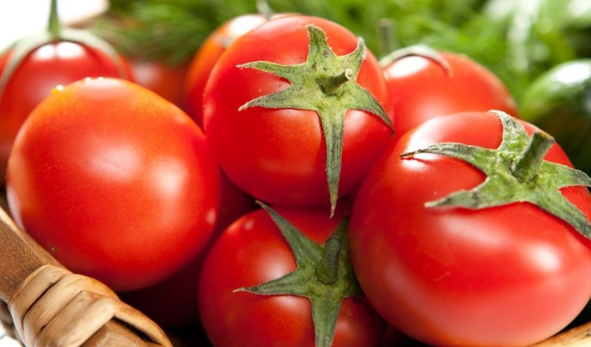 Azərbaycanın pomidor ixracı 9 ayda 12% artıb
