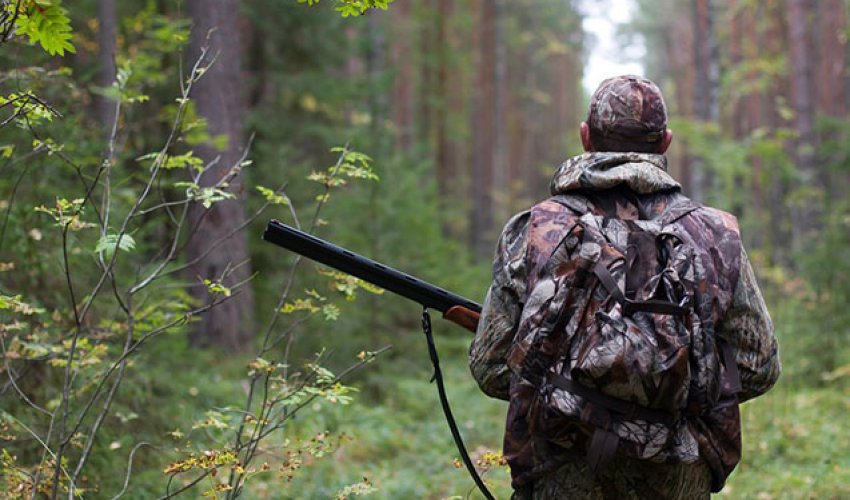 Azərbaycan ov mövsümünü erkən bağlanıb - yenidən açılması iqlim proseslərinin nəticələrindən asılı olacaq