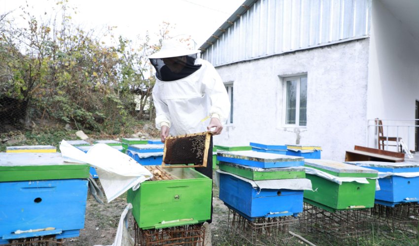 İşğaldan azad olunmuş ərazilərdə 633 nəfər özünüməşğulluq proqramı ilə kiçik biznes qurub