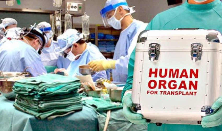 Baş nazir Bona Dea ilə bağlı qərar imzalayıb