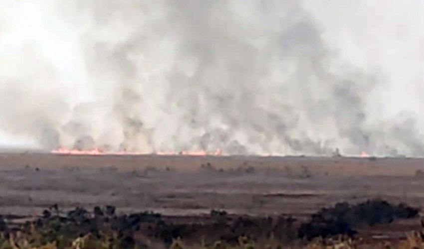 Cəlilabadda ovçuluq təsərrüfatında yanğın olub