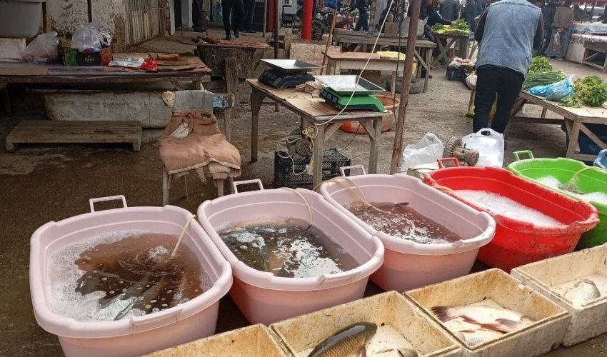 AQTA bu rayonların ərzaq bazarlarında monitorinq keçirib