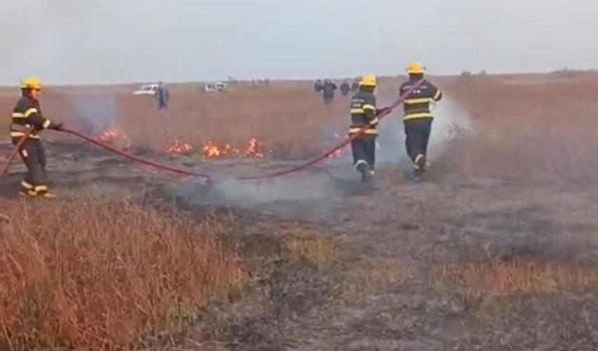 Cəlilabadda açıq ərazidə yanğın baş verib