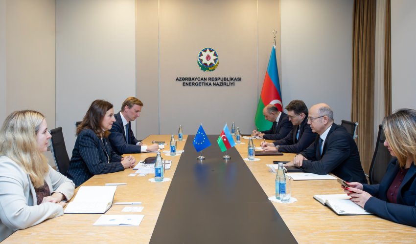 Energy minister meets head of EU Delegation to discuss cooperation prospects