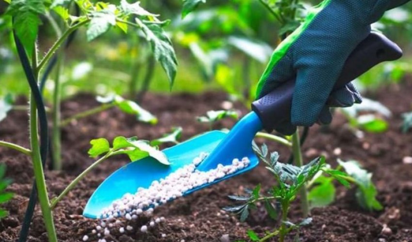 Azərbaycan gübrə idxalını artırıb