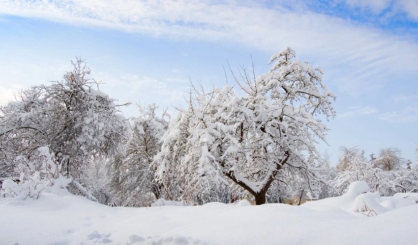 Bəzi rayonlara qar yağıb - Faktiki hava