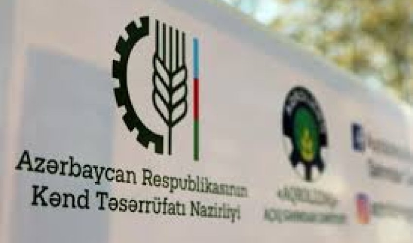 Nazirliyin süni intellektlə hazırladığı 5 layihə başa çatıb