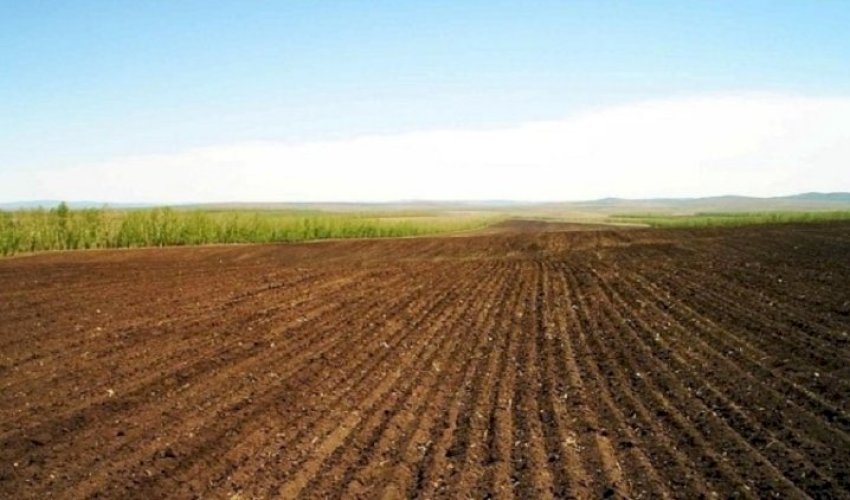 4 minə yaxın sahədə monitorinq aparılıb - Nazirlik vəziyyəti açıqlayıb