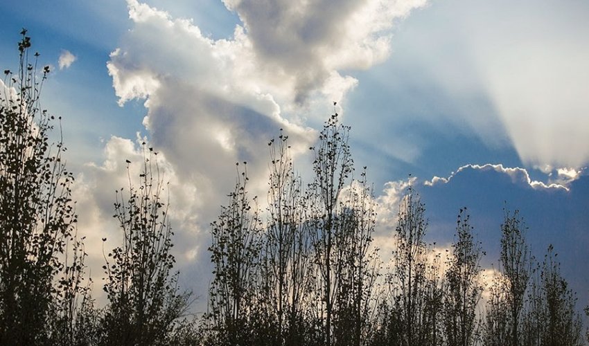 Sabahın hava proqnozu açıqlanıb