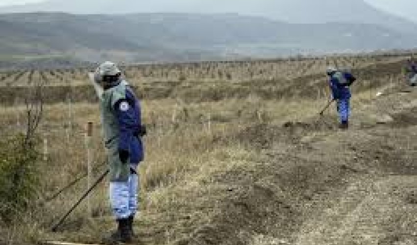 Bir həftədə 18 tank əlehinə mina aşkarlanıb - Rəsmi