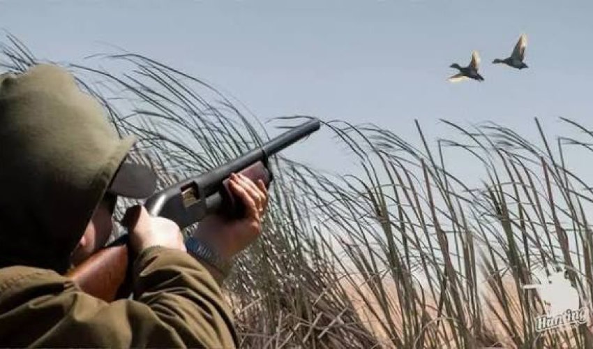 Şabranda qanunsuz ov edən şəxs saxlanılıb