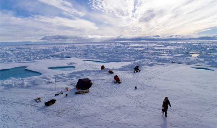 NOAA: Температура воздуха в Арктике достигла рекордных показателей