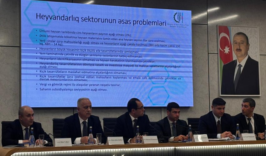 Zaur Əliyev : Azərbaycanda heyvandarlıq sektorunda sistemli problemlər qalıb