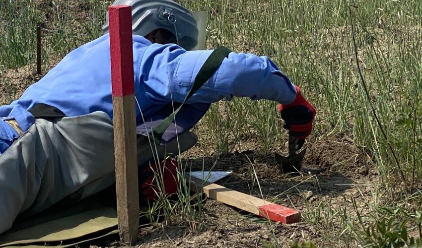 ANAMA: На минувшей неделе от мин очищена территория площадью более 1200 га