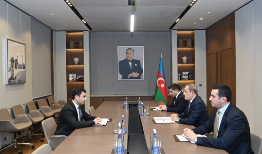 Глава МИД Азербайджана принял генсека МОГО