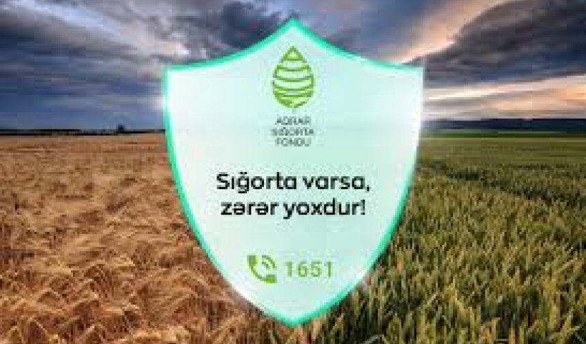 Qax və Zaqatala fermerlərinə 22 min manatlıq sığorta ödənişi verilib