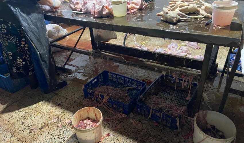 Xırdalanda 2 min ev quşunun qanunsuz kəsildiyi sexin fəaliyyəti məhdudlaşdırılıb